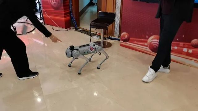 聚焦二十大,各广电推出了哪些融媒体作品?