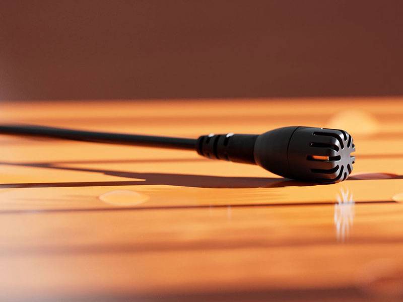 DPA Microphones 2061 微型麦克风